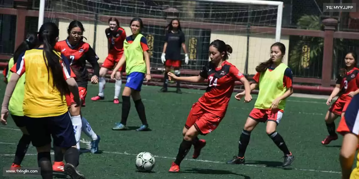 让虚拟世界,成为现实中的快乐源泉🎨